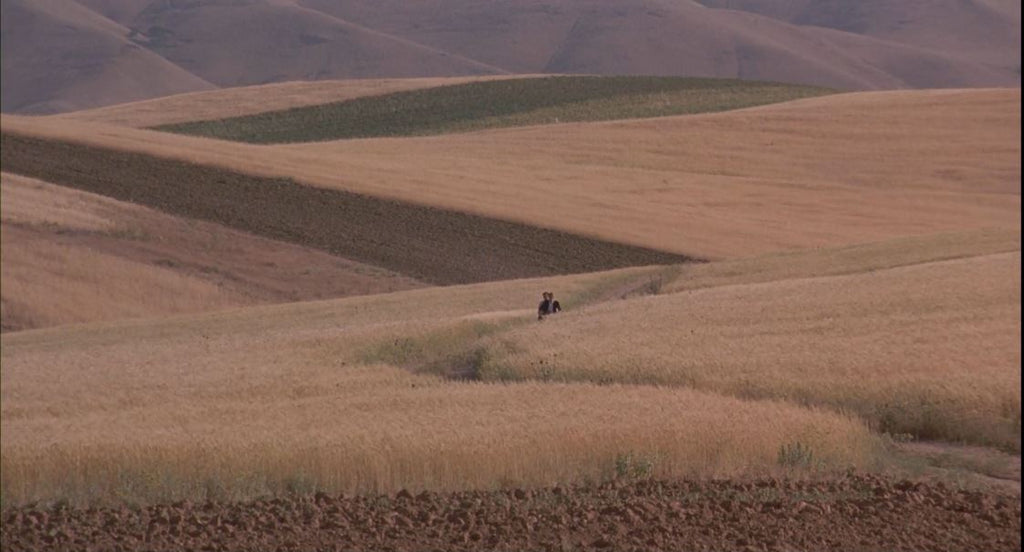 Art Movies on MUBI