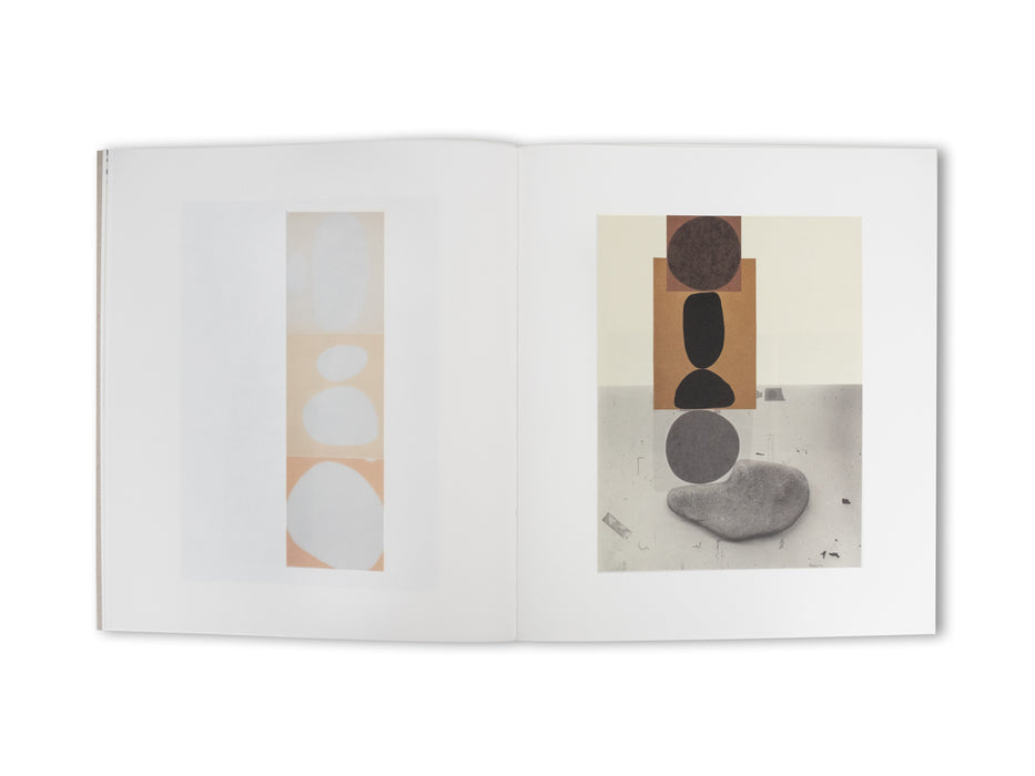 Understanding the Landscape | Limited Edition