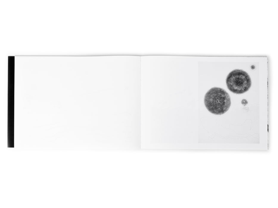 Event Horizon | Limited Edition