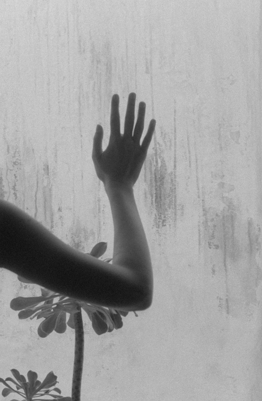 Hands and their shadows against a wall. From After Beauty by Maura Sullivan.