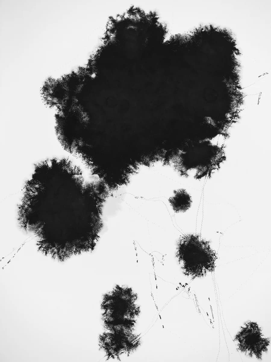 Dark organic forms against a pale aerial landscape. From Event Horizon by Kacper Kowalski.