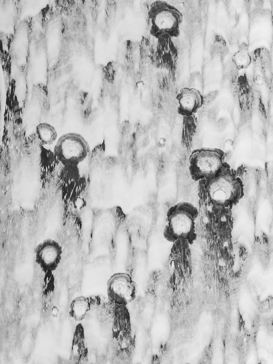 Vertical abstract landscape with circular marks. From Event Horizon by Kacper Kowalski.