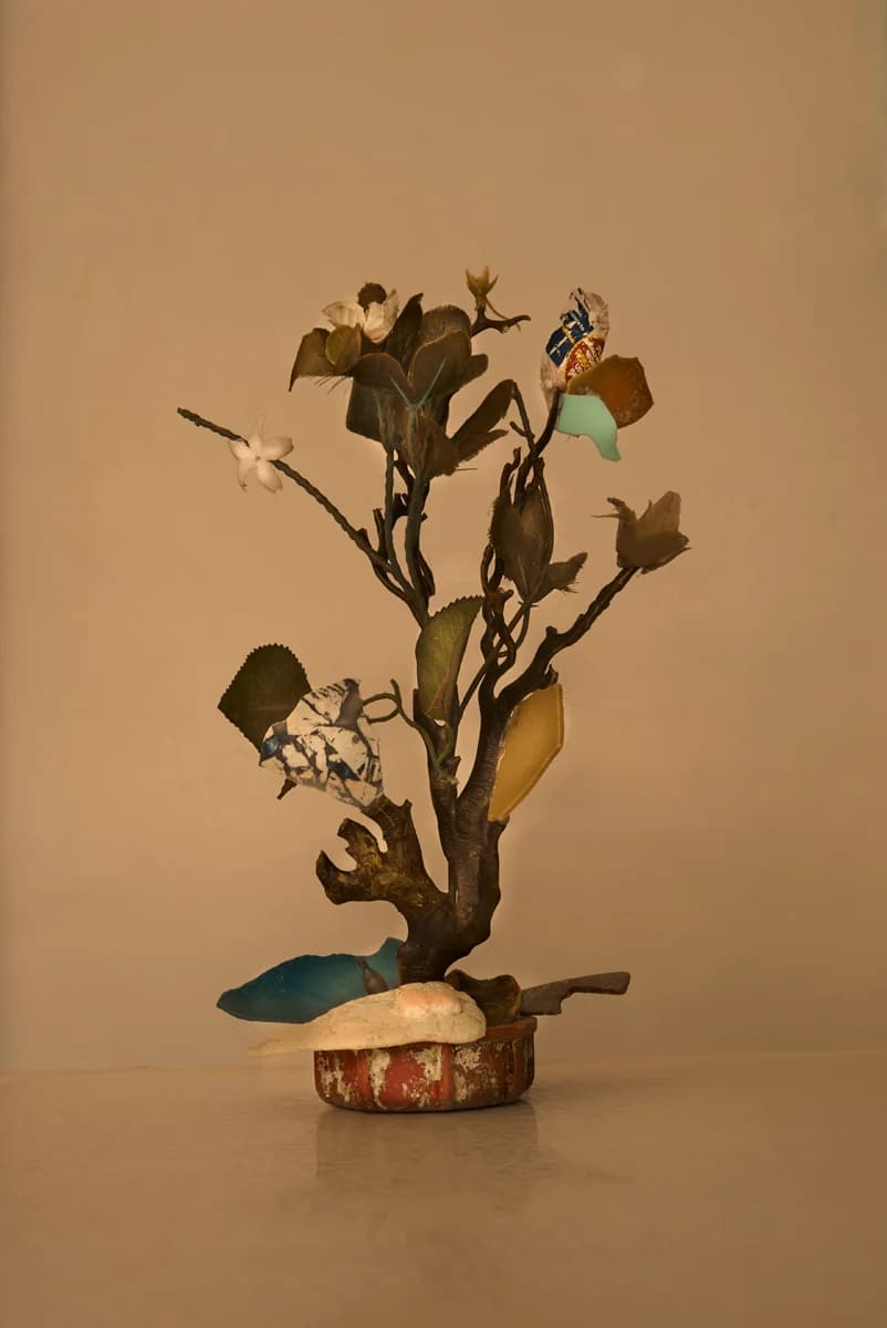 Branch-like arrangement of found plastic. From Plastic Ocean by Thirza Schaap.