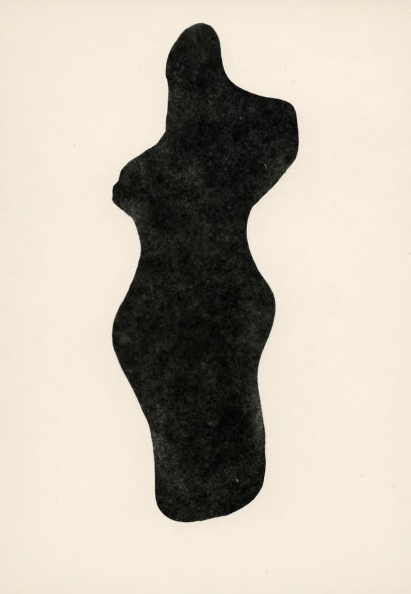 Dark stone-shaped photogram on a pale background. From Understanding the Landscape by Babs Decruyenaere.